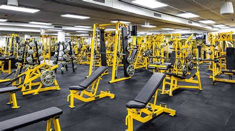 Gold's gym international. Things To Know About Gold's gym international. 